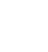 assessment online format icon